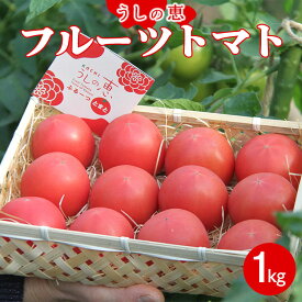 【ふるさと納税】数量限定 うしの恵 フルーツトマト 籠入り 約1kg - 野菜 とまと 美味しい 料理 期間限定 フルーツ トマト 送料無料 産地直送 完熟トマト とまと 甘い ギフト 贈り物 贈答用 のし 熨斗 季節品 高知県 香南市【常温】