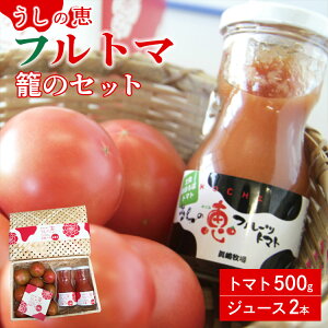 yӂ邳Ɣ[Łzʌ ̌b tg}ẴZbgit[cg}g500g+W[X2{j - t[c g}g g}gW[X  Ƃ܂ Ԍ  Yn Mtg 蕨 G