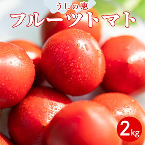 yӂ邳Ɣ[Łzʌ ̌b t[cg}g 2kg -  Ԍ  Ƃ܂ Yn  AW T_  ThCb` n Rs Â ܂ tbV ς 