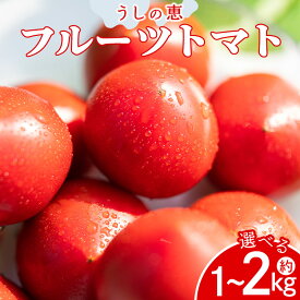 【ふるさと納税】【選べる内容量】数量限定 うしの恵 フルーツトマト (約1kg/約2kg) - 送料無料 期間限定 野菜 とまと 産地直送 完熟 1kg トマト サンドイッチ 完熟 リコピン 甘い あまい フレッシュ さっぱり 贈答 お礼 御礼 おいしい 国産 高知県 香南市【常温】