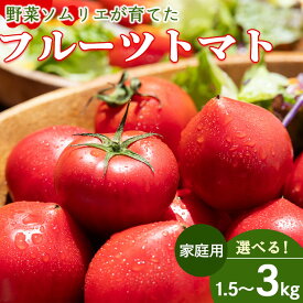 【ふるさと納税】【選べる内容量】家庭用 野菜ソムリエが育てた フルーツトマト（1袋500g入り）約1.5kg/約3kg - 野菜 とまと トマト 産地直送 2026年発送 料理 アレンジ サラダ 完熟 甘い あまい さっぱり 酸味 うしの恵 小分け おいしい 国産 高知県 香南市 Rmj-0016