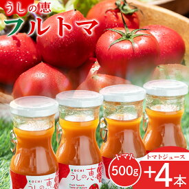 【ふるさと納税】野菜ソムリエが育てた うしの惠フルーツトマト500g＋トマトジュース4本 - セット フルーツ トマト トマトジュース 野菜 青果 飲料 飲み物 野菜ジュース とまと 甘い 完熟 期間限定 産地直送 ギフト 贈り物 季節品 眞嶋農園 高知県 香南市【常温】 mj-0026