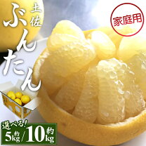 楽天市場】土佐文旦 10kgの通販