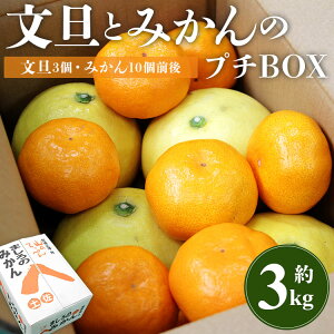 yӂ邳Ɣ[Łzys\zUƂ݂̃v`BOX 3kg - ʕ  t[c k Ԃ񂽂 u^ ~J lߍ킹 ߂킹 Zbg Hה y   