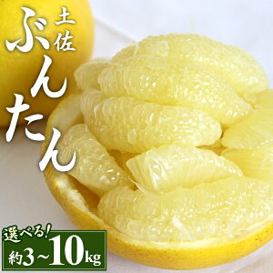 yӂ邳Ɣ[Łzys\zyU ( 2L`4LTCY)iIׂF3kg/5kg/7kg/10kgj -  ʌ ʕ  t[c k Ԃ񂽂 u^ S tbV W[V[ ԏ