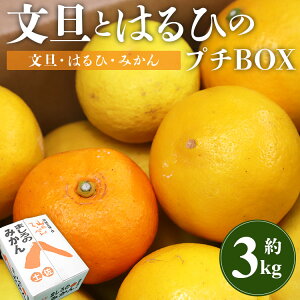yӂ邳Ɣ[Łzys\zUƂ͂Ђ̃v`BOX v3kg - t[c ʕ  Ԃ񂽂 u^ ڂ񂽂 U{ k  ~J  ʌ Ԍ Gߌ  
