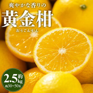 yӂ邳Ɣ[Łzԏ_ u₩ȍ̉i񂩂j2.5kg -  t[c ʕ  S[fIW k ʌ Ԍ zԌ m sy