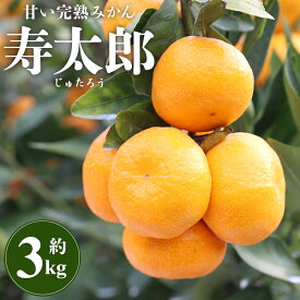 【ふるさと納税】間城農園 甘い完熟みかん 寿太郎（じゅたろう）約3kg - 送料無料 フルーツ 果物 くだもの 甘い おいしい 期間限定 数量限定 柑橘 ミカン 蜜柑 送料無料 高知県 香南市【常温】ms-0046