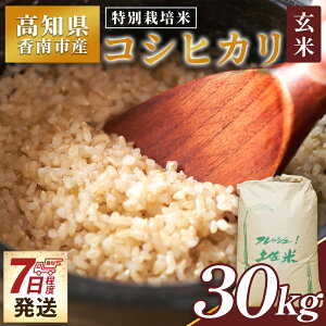 yӂ邳Ɣ[Łzy7xŔzʍ͔| RVqJ  30kg - Y    Ђ  ͂ ɂ ނ  ŒZz Xs[h  ͂ _ƌ 