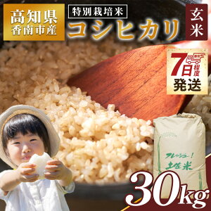 yӂ邳Ɣ[Łzy7xŔzʍ͔| RVqJ  30kg - Y    Ђ  ͂ ɂ ނ  ŒZz Xs[h  ͂ _ƌ 