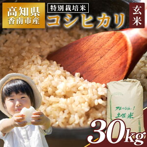 �y�ӂ邳�Ɣ[�Łz���ʍ͔|�� �R�V�q�J�� ���� 30kg - ���Y �� ���� ������ �����Ђ��� ���� ���͂� ���ɂ��� ���ނ��� ���� �_�ƌ��� ���m�� ����s �퉷 nu-0009