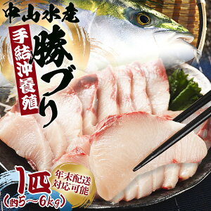 【ふるさと納税】【年末配送可能】手結沖養殖「勝ブリ」1匹(約5kg〜6kg)- 魚 ぶり 鰤 寒ブリ 海鮮 鮮魚 魚介類 ギフト 贈答 お祝い 御祝 お刺身 煮物 焼き魚 照り焼き たたき 1本 キロ 産地直