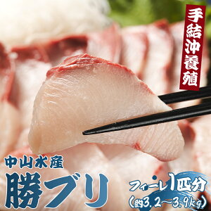 yӂ邳Ɣ[Łz茋{BuuvtB[ 1Ci3.2kg`3.9kgj- Ԍ  Ԃ  u CN N  ؂g C̍K Mtg hg ϕ Ă  Yn ̂Ή 