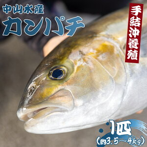 yӂ邳Ɣ[Łzys\zuJp`v1Ci3.5kg`4kgj- Ԍ  ς CN N  C̍K Mtg hg ϕ Ă  茋{B Yn ̂Ή  