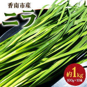 yӂ邳Ɣ[ŁzsY j 1kgi100g×10j- ɂ B  ₳ t VN    Lq \ L` `a~ uߕ Ђ  Y ҁ[_ m sy