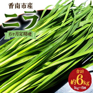 yӂ邳Ɣ[Łz6 sY j v6kgi1kg×6j - ɂ B   ₳  t VN VLVLH  ɂ  AW u߂ uߕ ϕ  Ȃ 