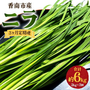 yӂ邳Ɣ[Łz3 sY j v6kgi2kg×3j- ɂ B   ₳  t VN VLVLH  ɂ  AW u߂ uߕ ϕ  Ȃ 