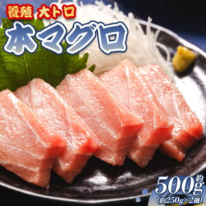 yӂ邳Ɣ[Łz{}O {B g v500gi250g×2j-  ܂ Ƃ i hg  CN Ђ Jpb` ܂ VN CY  C̍K IIW m syⓀ