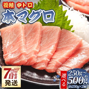 yӂ邳Ɣ[Łzy7xŔzyIׂz{}O {B g iIׂ:250g×1/250g×2j-  ܂ Ƃ i hg  CN Ђ Jpb` ܂ VN CY 