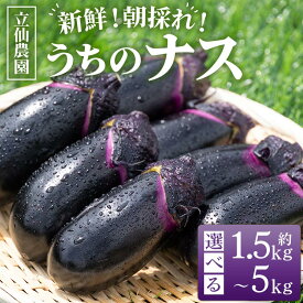 【ふるさと納税】【内容量が選べる】立仙農園 うちのナス 約1.5kg/約3kg/約5kg - なす 茄子 なすび ナスビ 生鮮 野菜 やさい 朝採れ 新鮮 生 1本90g前後 5本ずつ小分け おすそ分け 料理 タタキ 煮びたし 揚げ 味噌 麻婆 焼きナス 炒め物 国産 高知県 香南市【常温】Rrs-0004