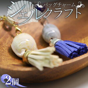 yӂ邳Ɣ[ŁzVFNtg obO`[ 2 -  ANZT[  IV 蕨 Mtg v[g IׂJ[ m sy퉷zXsk-0005