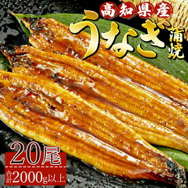 【ふるさと納税】 高知県産養殖うなぎ蒲焼 20尾(合計2000g以上) - 土用の丑の日 鰻 ウナギ 蒲焼き かば焼き かばやき うな丼 うな重 ギフト 母の日 父の日 お礼 御礼 感謝 贈答 贈り物 送料無料 須崎市道の駅 高知県 香南市【冷凍】ss-0042