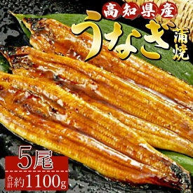 【ふるさと納税】高知県産養殖うなぎ蒲焼 5尾(合計約1100g) - タレ付き たれ 丑の日 鰻 ウナギ かばやき 蒲焼き うな丼 うな重 送料無料 須崎市道の駅 ギフト お中元 御中元 父の日 お礼 御礼 感謝 贈答 贈り物 高知県 香南市【冷凍】ss-0036