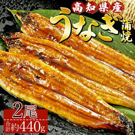 【ふるさと納税】高知県産養殖うなぎ蒲焼き 2尾(合計約440g) - タレ付き たれ 土用の丑の日 鰻 ウナギ かばやき 蒲焼き うな丼 うな重 ギフト お中元 御中元 父の日 お礼 御礼 感謝 贈答 贈り物 送料無料 須崎市道の駅 高知県 香南市【冷凍】ss-0043