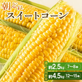 【ふるさと納税】【選べる内容量】朝どれスイートコーン 約2.5kg（7～8本）/約4.5kg（12～15本） - 野菜 とうもろこし トウモロコシ 朝採り 季節限定 期間限定 ポタージュ スープ BBQ バーベキュー 産地直送 特産品 旬彩ファームやまさき 高知県 香南市【冷蔵】Rsy-0004