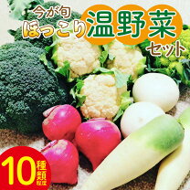 楽天市場】にんじん 新鮮の通販