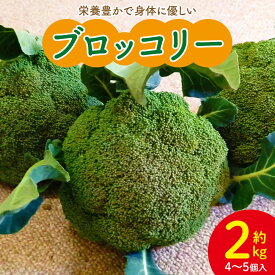 【ふるさと納税】栄養豊かで身体に優しいブロッコリー 約2kg 4〜5個入り - 野菜 やさい 産地直送 国産 旬 朝採れ 新鮮 サラダ スープ シチュー 弁当 おかず 便利 料理 簡単調理 冷凍保存可 高知県 香南市【常温】sy-0010