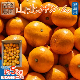 【ふるさと納税】高橋農園 山北みかん ご家庭用 約5kg - 送料無料 露地栽培 柑橘 果物 フルーツ ミカン 蜜柑 期間限定 季節限定 家庭用 国産 特産品 高知県 香南市【常温】 th-0007