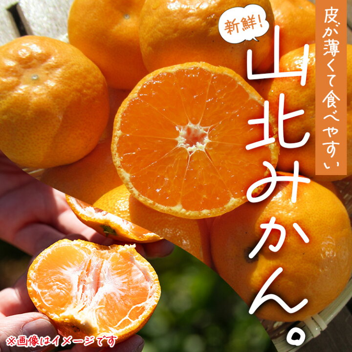 楽天市場】【ふるさと納税】【選べる内容量】山北みかん（露地・S〜M 