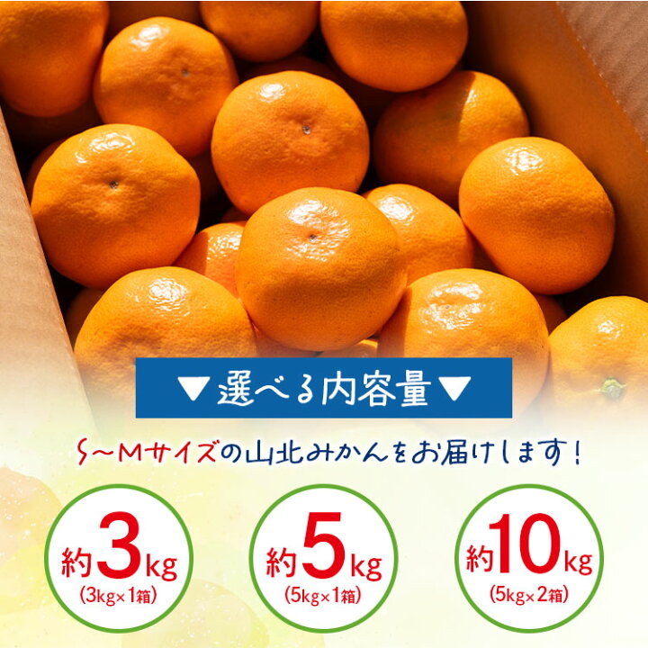 楽天市場】【ふるさと納税】【選べる内容量】山北みかん（露地・S〜M 
