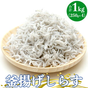 yӂ邳Ɣ[ŁzyY g炷 v1kgi250g×4j- g VX Ⴑ  т̂ H  ܂ ̍  aH Mtg  蕨  m syⓀz 