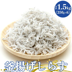 yӂ邳Ɣ[ŁzyY g炷1.5kg(250g×6) - g VX Ⴑ  т̂ H  ܂ ̍  aH Mtg  蕨  m syⓀztk-0013