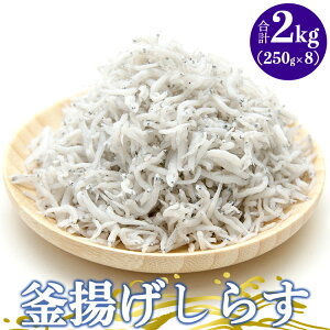 yӂ邳Ɣ[ŁzyY g炷 2kg(250g×8) - g VX Ⴑ  т̂ H  ܂ ̍  aH Mtg  蕨  m syⓀz tk-0014