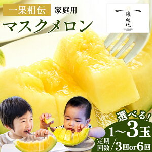 yӂ邳Ɣ[ŁzyNz\zʑ` }XN ƒp 1ʁ^2ʁ^3 - Iׂ  ʕ t[c ߂  p W[V[ ʏ`   Â ܂ Ĕ_ Yn