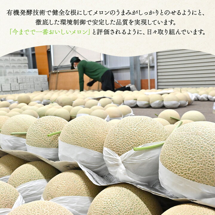 楽天市場】【ふるさと納税】【選べる】【期間限定】一果相伝 マスク 