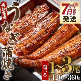 【ふるさと納税】【7日程度で発送】高知県産うなぎ蒲焼き（選べる内容量：計約120g～約360g 1尾～3尾）（無頭）- スピード発送 鰻 ウナギ スタミナ 晩ご飯 おつまみ 丼ぶり ギフト お礼 御礼 感謝 お取り寄せグルメ 海の幸 うなぎ屋きた本 高知県 香南市【冷凍】