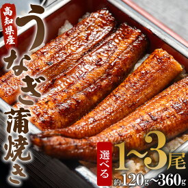 【ふるさと納税】高知県産うなぎ蒲焼き（選べる内容量：計約120g〜約360g 1尾〜3尾）（無頭）- 鰻 ウナギ スタミナ 晩ご飯 おつまみ 丼 ギフト お礼 御礼 感謝 お取り寄せグルメ 海の幸 うなぎ屋きた本 高知県 香南市【冷凍】