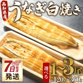 【ふるさと納税】【7日程度で発送】高知県産うなぎ白焼き （選べる内容量：計約120g～約360g 1尾～3尾）(無頭) - スピード発送 送料無料 鰻 ウナギ 魚介 惣菜 おかず 山椒塩 ギフト お礼 感謝 のし 贈り物 プレゼント 贈答 丑の日 うなぎ屋きた本 高知県 香南市【冷凍】