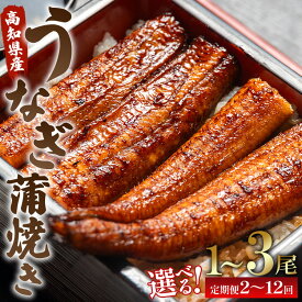 【ふるさと納税】【選べる】うなぎ蒲焼き120g(無頭) （内容量：1尾/2尾/3尾）（定期便：2回/3回/6回/12回）- 魚介 国産 海鮮 魚 かばやき 鰻 ウナギ 惣菜 おかず お手軽 加工品 加工食品 高知県 香南市【冷凍】
