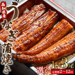 yӂ邳Ɣ[ŁzyIׂzȂĂ120g() ieʁF1/2/3jiցF2/3/6/12j-  Y CN  ΂₫ V EiM y  y Hi HHi m 