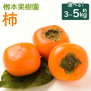 yӂ邳Ɣ[ŁzyIׂeʁzys\z` 3kg^5kg - ʕ  t[c JL  Â   Ԍ Gߌ ʌ {ʎ m sy퉷z
