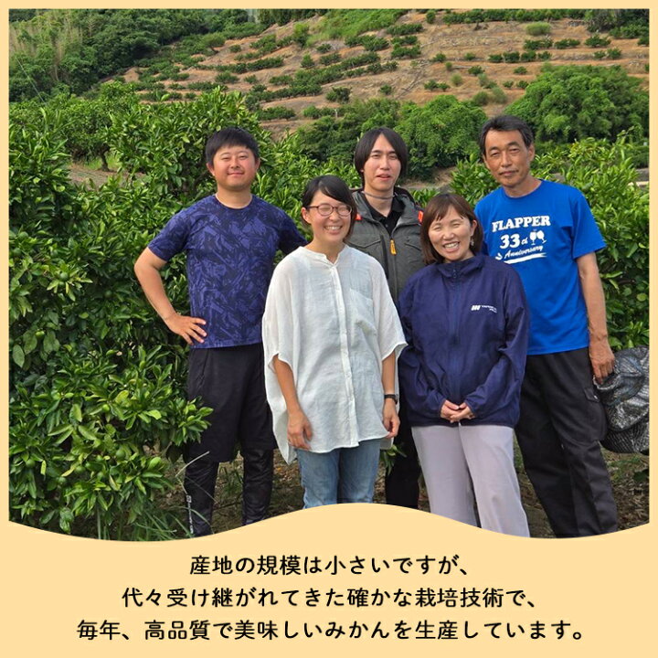 楽天市場】【ふるさと納税】【選べる内容量】訳あり 山北みかん ご家庭 