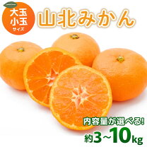 楽天市場】山北 みかん 5kgの通販 