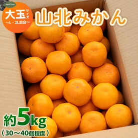 【ふるさと納税】山北みかん 大玉サイズ L・2L混合 約5kg（30～40個程度）- 果物 フルーツ 柑橘類 温州みかん ミカン 蜜柑 甘い おいしい 美味しい 山北みらい 高知県 香南市【常温】 yk-0025