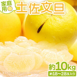 yӂ邳Ɣ[Łzys\zyU ƒp 10kg 召(L`3L) 18`28ʓ - ʕ t[c k Ԃ񂽂 u^   Yi Ԍ Rk݂炢 m sy