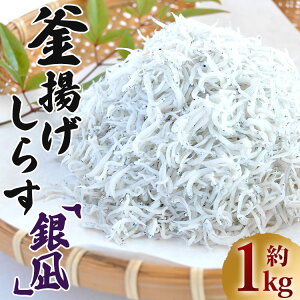 yӂ邳Ɣ[Łzg炷uv1kgi350g×3/50g×20pbNj-   ܂ VX 炷  Iׂ鍫  Yi CY VN т̂ ܂ Y C̍K 
